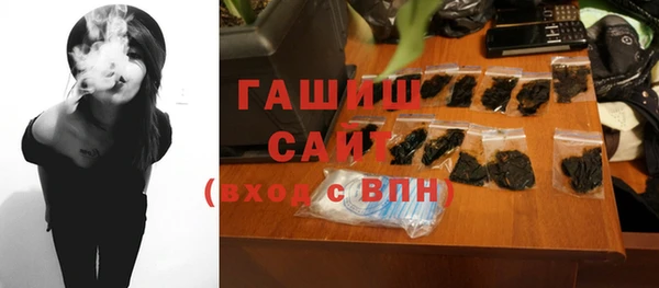 шишки Бердск